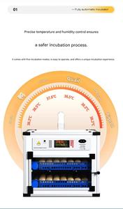 Incubadora Comercial de Huevos <span class=keywords><strong>para</strong></span> 500 Huevos con Controlador Inteligente y Sistema Automático de Volteo de Huevos - Product Image 4