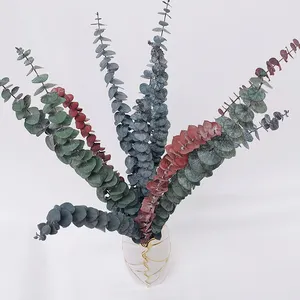 Hot Sale 60-70cm Length Preserved Dried Eucalyptus Leaves Copper Shape In Dark Green/Blue/Red 10pcs/Pack For Decoration