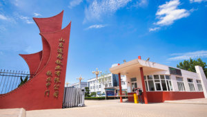 Chất lượng cao nhà máy r2195 <span class=keywords><strong>Titanium</strong></span> <span class=keywords><strong>Dioxide</strong></span> giá mỗi kg <span class=keywords><strong>Dioxide</strong></span> <span class=keywords><strong>Titanium</strong></span> rutile lớp sắc tố cho sơn - Product Image 6