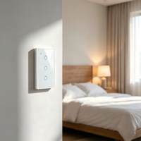 Interrupteur mural intelligent électrique Elite WHX03 3 voies sans neutre WiFi Zigbee Tuya APP Commande vocale Alexa pour la maison et l'hôtel