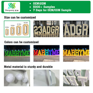 Letrero Luminoso LED Vintage de Diseño Libre, Letras de Acero Inoxidable para Publicidad, Dirección, Escuelas, Cafeterías, Decoración de Bares - Product Image 6