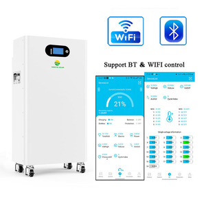DIY Design 51.2V 314Ah Lithium Iron Phosphate Battery Home Solar Storage 15kWh Smart CAN EMS Control IP65 Off-<b>grid</b> Ready CE RoHS - Product Image 2