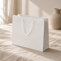 Sac de shopping en papier de boutique avec poignée en corde de coton torsadée, emballage cadeau personnalisé avec illustration