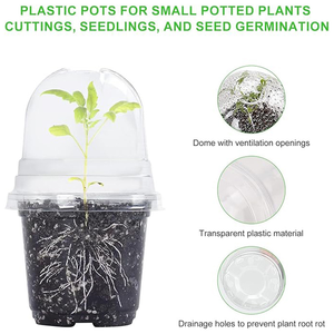 Pot Tanaman Transparan <span class=keywords><strong>PET</strong></span> Ukuran 3.5 inci, 4 inci, 5 inci, 6 inci, 7.6 inci, dengan Tutup Humidifikasi untuk Bibit dan Persemaian - Product Image 2