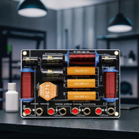 Divisor de Frecuencia XN1125 de 2 Vías en Cobre Fino para Audio HiFi, Red de Crossover de 900W para Altavoces de 12-15 Pulgadas, Divisor para Agudos/2 Graves