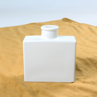 Ensemble de bouteilles vides pour diffuseur de roseaux en verre élégant Bouteilles d'aromathérapie pour le parfum d'ambiance