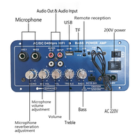 Amplificateur stéréo portable rechargeable D400 60W+60W de classe D avec mixeur audio numérique