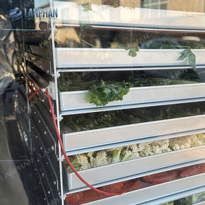 Lyophilisateur Domestique <span class=keywords><strong>Grande</strong></span> Capacité 50 kg avec 14 Clayettes et Condenseur Puissant pour la Conservation des Fruits, Viandes et Plats Complets - Product Image 3