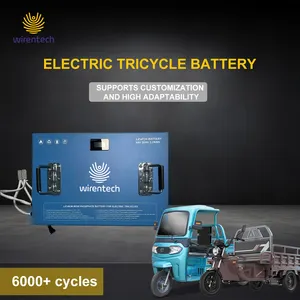 Heavy Duty Car Bike 3 Wheel Vehicle Truck Passenger Batteries Electric Tricycle Cargo 64V 50Ah 76V 52Ah Lithium Ion Battery