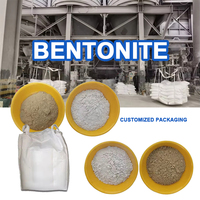 Bentonite de soufre : Poudre d'argile à haute expansion pour la stabilisation des boues de forage