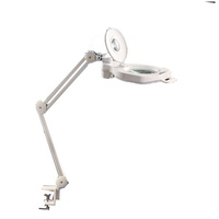 High Quality Magnifying Glass Working Lamp/Magnifying Glass with Lamp