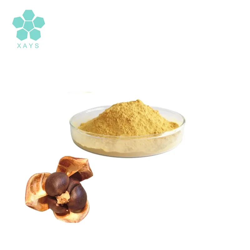 Youshuo Natural Using for Cosmetic Tea Seed Extract Saponins 98% Powder