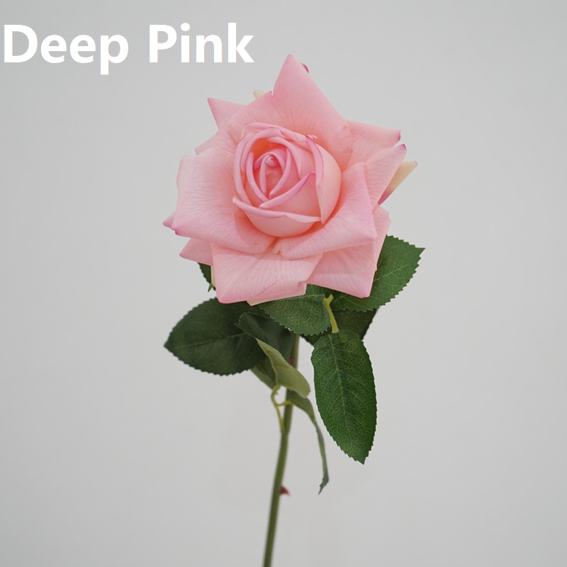 Rosa intenso