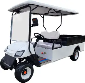 OEM Golf cart 2 posti alimentati a Gas cargo box carrelli Golf Box elettrico carrelli