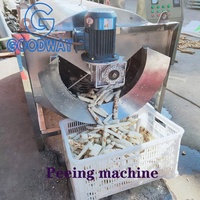 Machinerie de transformation du manioc, machine à peler le manioc, éplucheuse et laveuse de manioc