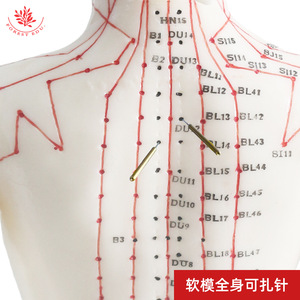 แบบจำลองจุดฝังเข็มสำหรับผู้หญิง พร้อมรหัสภาษาจีนและภาษาอังกฤษ พร้อมสัญลักษณ์เส้นลมปราณสีสันเต็มรูปแบบ ขนาด 48 ซม. - Product Image 4