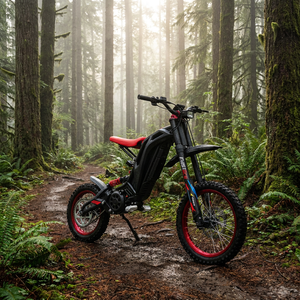 <span class=keywords><strong>Moto</strong></span> tout-terrain électrique super puissante <span class=keywords><strong>de</strong></span> 35 kW, étanche IP68, avec batterie au lithium ternaire pour les aventures hors <span class=keywords><strong>route</strong></span> - Product Image 5