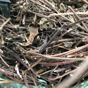 ใบเจลลี่ใบหญ้าดำแบบพรีเมี่ยมสำหรับใส่ชานม - Product Image 1