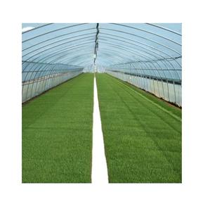 Pellicola per serra in plastica agricola ad arco a campata singola - Product Image 3