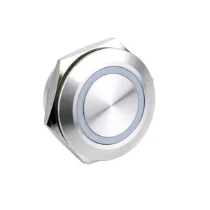 Stainless Steel Push Button 1NO Switch Momomtary Function 22mm Hotselling OEM Made In China Waterproof IP67 IK10