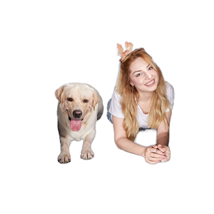 Housse de siège de voiture imperméable pour animaux de compagnie, espace plus grand avec une capacité de charge de 300 livres, nouveau tapis et coussin pour siège arrière de chien - Product Image 2