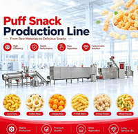 Petite extrudeuse alimentaire en acier inoxydable avec moteur et boîte de vitesses, machine de traitement de snacks soufflés haute capacité