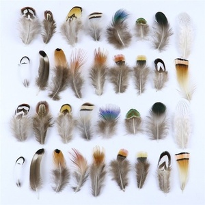 Plumes de faisan lavées en gros pour la fabrication artisanale, matériaux de décoration pour la pêche à la mouche, les coiffes de carnaval, les corsages et les chapeaux - Product Image 1