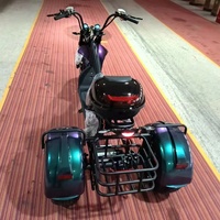 Scooter électrique à trois roues à pneus larges 60V 4000W, deux places, carrosserie ouverte avec coffre arrière et porte-bagages