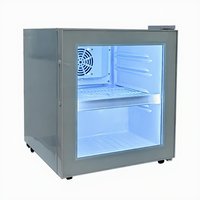 Réfrigérateur de comptoir personnalisé 52L pour boissons, avec porte simple et éclairage LED, pour affichage de canettes de bière en magasin de proximité