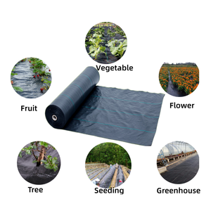Prêt à expédier : Tapis <span class=keywords><strong>anti</strong></span>-mauvaises herbes en PP pour jardin, tissu en polyéthylène avec protection UV, 100 g/m², tissé noir, couverture de sol, géotextile, toile <span class=keywords><strong>anti</strong></span>-<span class=keywords><strong>herbe</strong></span> - Product Image 5