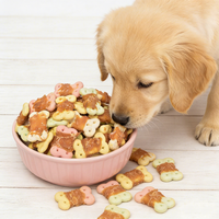 Friandises pour chiens et chats OEM/ODM sans céréales, à faible teneur en sodium, biscuits protéinés à base de viande pour des dents, une peau et un pelage sains - Snacks nutritionnels pour animaux de compagnie