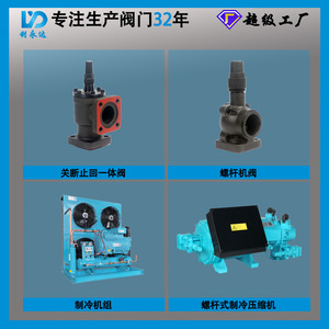 Vanne d'arrêt de compresseur J2BS DN50, corps en fonte pour utilisation industrielle à l'ammoniac - Product Image 5