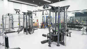 थोक जिम उपकरण उच्च स्तरीय अनुकूलित रंग वाणिज्यिक रोसेन फिटनेस पिन लोड किए गए मल्टी-जंगल 8 स्टेशन बॉडी बिल्डिंग के लिए - Product Image 2