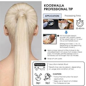 Meilleure vente Marque privée de haute qualité en vrac Blonde Professional Hair Bleach Poudre décolorante dans la teinture capillaire - Product Image 3