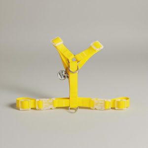 S amarillo recubierto de PVC impermeable arnés para perros personalizado de moda en forma de Y transpirable reflectante Simple elegante diseño de lujo - Product Image 1