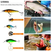 LUSHAZER Boîte de pêche complète avec leurres souples, leurres minnow, crankbaits, cuillères, spinners, jigheads, hameçons et poids pour la pêche au bar, à la truite et au brochet