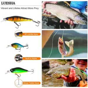 LUSHAZER Leurre de pêche Combo Box Soft Worm Bait Kit Minnow Crank Spoon <span class=keywords><strong>Spinner</strong></span> Jig Heads Hooks Weights Bass Trout Pike - Product Image 5
