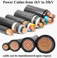Kabel Daya Bawah Tanah AC Berlapis Baja Konduktor Tembaga dengan Isolasi XLPE dan Selubung PVC Harga Pabrik