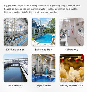 Flygoo Source d'air 3G 5G 10G OzonAqua générateur d'ozone portable pour ozoniseur d'eau purificateur d'eau Machine - Product Image 5