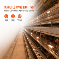 Câble plat LED pour cage à poulets 1,8W avec clip spécial pour une installation rapide dans les systèmes de cages à plusieurs niveaux et pour poulettes