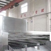 Hoge Kwaliteit Hoge Efficiëntie Wassen Roller Borstel Fruit Groente Machine