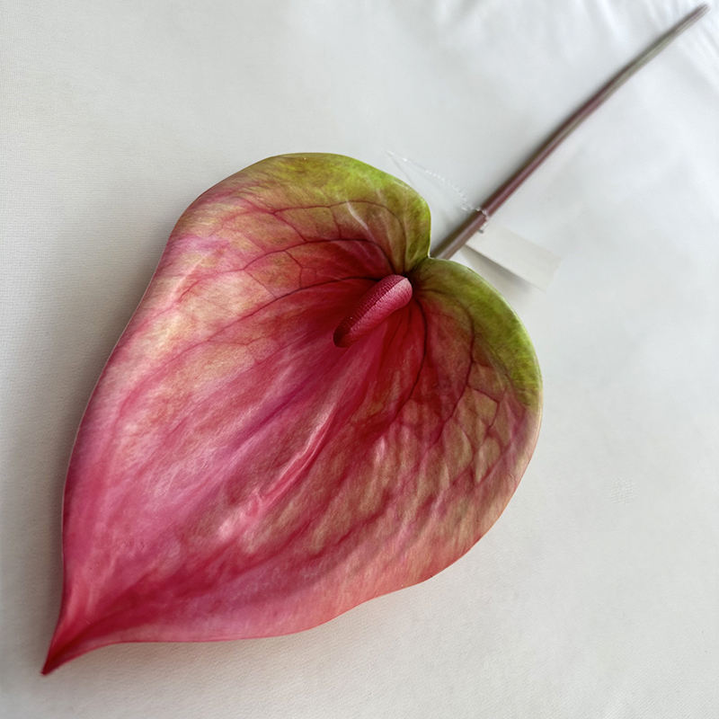 สีแดงกุหลาบ