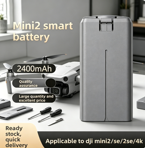 Voor Mini 2/SE/2S/Mini 4K Oplaadbare Li-poly 2400mAh Hoge Capaciteit Batterij in Doos, Op Voorraad - Product Image 1