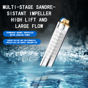 <span class=keywords><strong>Pompe</strong></span> à Eau Submersible Monophasée 0,75 CV 4SDM8-5 Direct Usine pour Irrigation Agricole et <span class=keywords><strong>Forage</strong></span> de Puits Profonds - Product Image 5