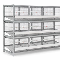 Nouvelle cage à poulets à 4 niveaux de type H, galvanisée à chaud, équipement d'élevage avicole à haute productivité pour l'Afrique