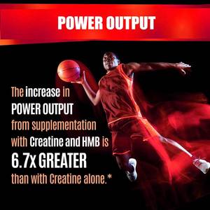 Suppléments OEM Factor Muscle Builder pour adultes Améliorer la récupération post-entraînement Capsules supérieures Monohydrate Créatine HCL - Product Image 5