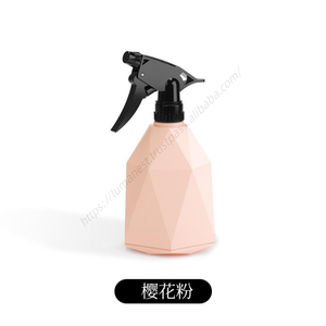 Vente en gros de pulvérisateurs portatifs en plastique Proins de 600 ml, forme moderne, bouteille de pulvérisation de jardin, petite bouteille colorée pour l'arrosage des fleurs domestiques - Product Image 5