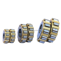 Roulements à rouleaux excentriques pour réducteur cycloïdal industriel 25UZ852935 25UZ852935T2 15UZE209 06T2 25UZ852935T2S 25x68.5x42mm P0