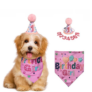 Conjunto de sombrero y pañuelo para cumpleaños de mascotas, para perros, color rosa, con número 1, accesorios para fiestas, diseño bonito, material de poliéster, para las cuatro estaciones - Product Image 1