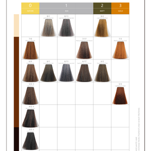 WAYWARD Scheda <span class=keywords><strong>Colori</strong></span> Tinte per Capelli Serie Warm Brown - Tonalità Base Calde Marroni, Mix Toner, <span class=keywords><strong>Tabella</strong></span> di Riferimento <span class=keywords><strong>Colori</strong></span>, <span class=keywords><strong>Tabella</strong></span> <span class=keywords><strong>Colori</strong></span> Permanenti - Product Image 1